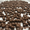Bleuets sauvages séchés enrobés de chocolat