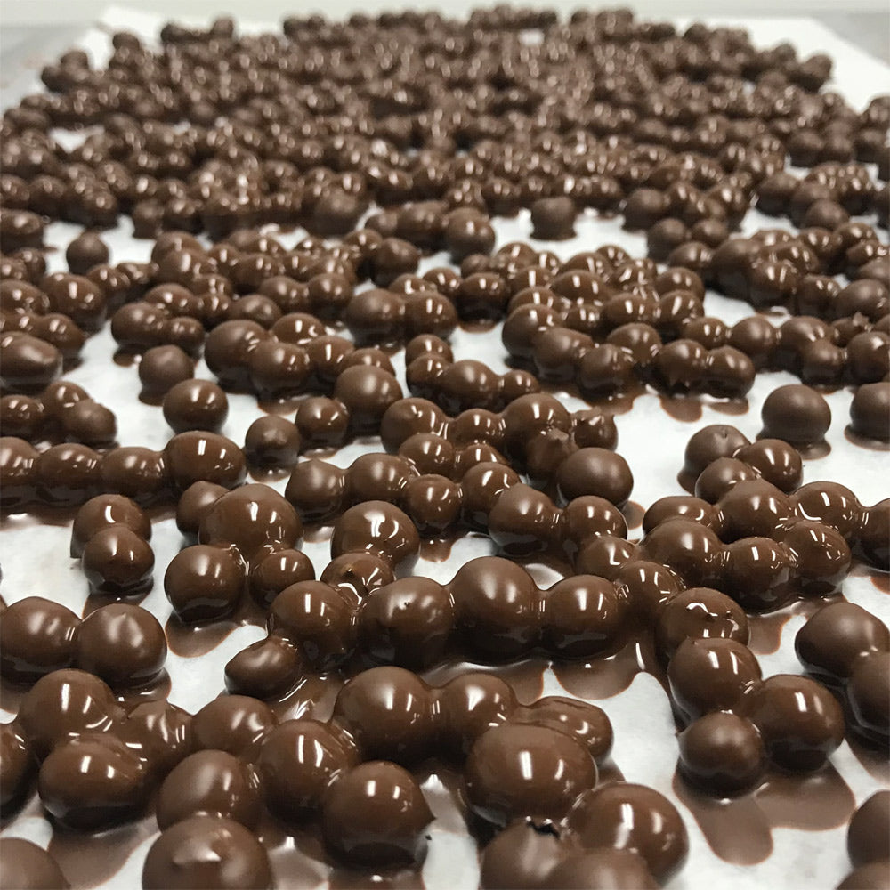 Bleuets sauvages séchés enrobés de chocolat