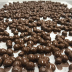 Bleuets séchés et riz soufflé enrobés de chocolat