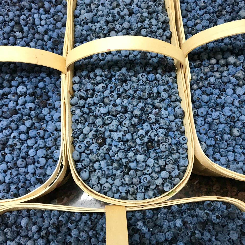 Confiture aux trois fruits