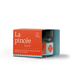 Mélange d'épices épicées