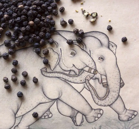 Poivre noir Anakuzhy - Vallée des éléphants, Épices de Cru