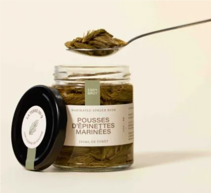 Pousses d’épinettes marinées