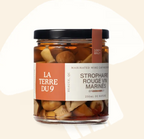 Strophaire rouge vin marinés épicés