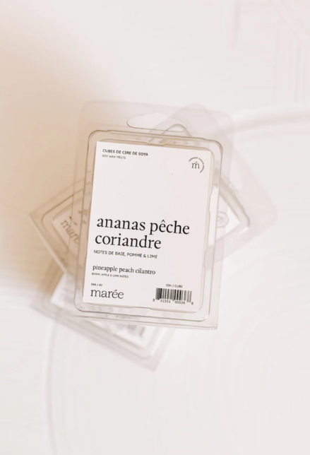 Cubes de cire de soya  - Ananas, pêche et coriandre