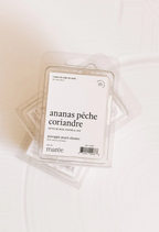 Cubes de cire de soya  - Ananas, pêche et coriandre