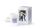Bougie de soja- Bourgeon de cassis