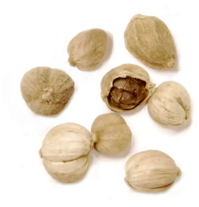 Cardamome blanche chinoise, Épices de Cru