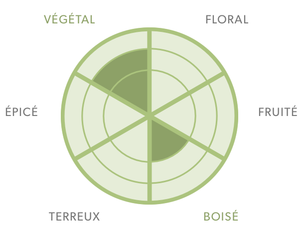 Thé vert-Genmaicha