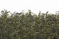 Thé vert-Sencha Nagashima