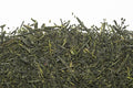 Thé vert-Sencha Koshun