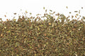 Tisane - Menthe