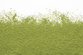 Matcha Sora