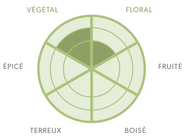 Tisane - Menthe