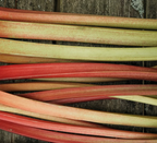 Confiture Rhubarbe et fleurs sauvages