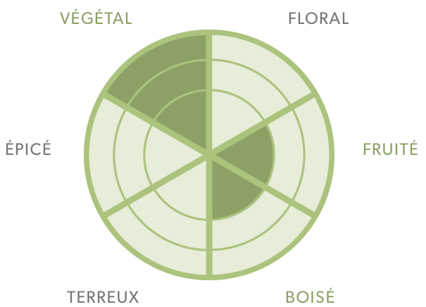 Thé vert-Sencha Ashikubo