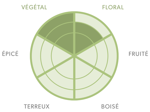 Thé vert-Sencha Koshun